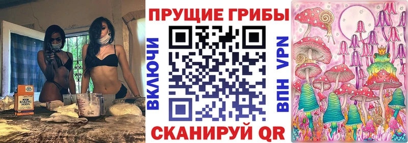 Галлюциногенные грибы Psilocybine cubensis Асино